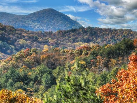671 Stover Knob Trail Cherry Log GA 30513