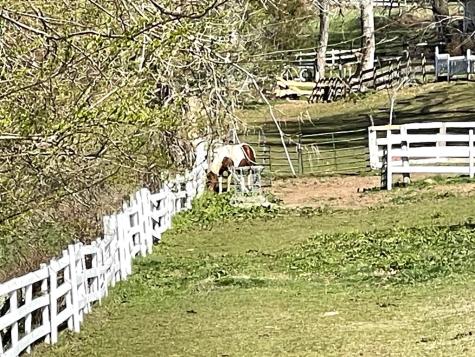 153 Rocking Chair Trail Hayesville NC 28904