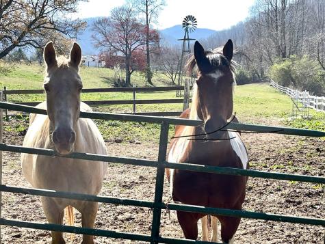 153 Rocking Chair Trail Hayesville NC 28904