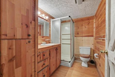 3477 Salem Road Mineral Bluff GA 30559