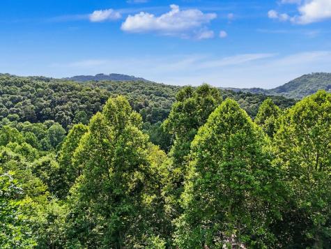 3477 Salem Road Mineral Bluff GA 30559