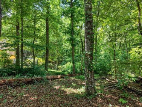 14 B Breezewood Village Hiawassee GA 30546