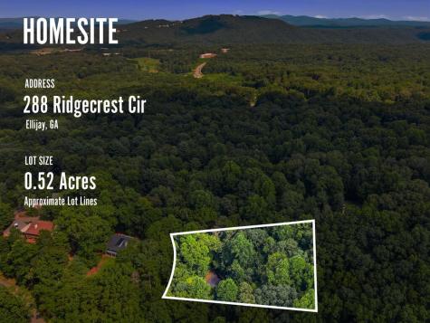 288 Ridgecrest Circle Ellijay GA 30540