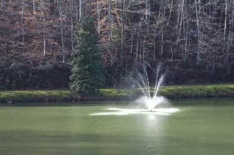288 Ridgecrest Circle Ellijay GA 30540