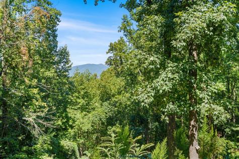 228 Longview Drive Hayesville NC 28904
