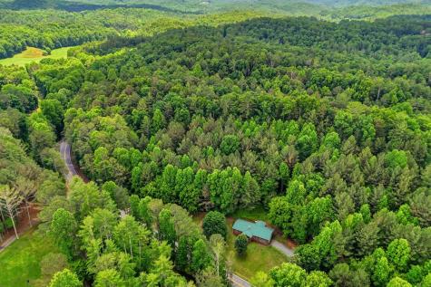 7741 Chatsworth Hwy/52w Ellijay GA 30540