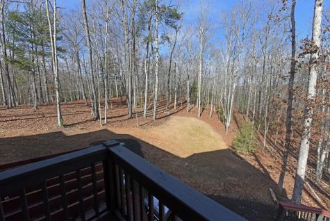 1008 Ridge Drive Morganton GA 30560