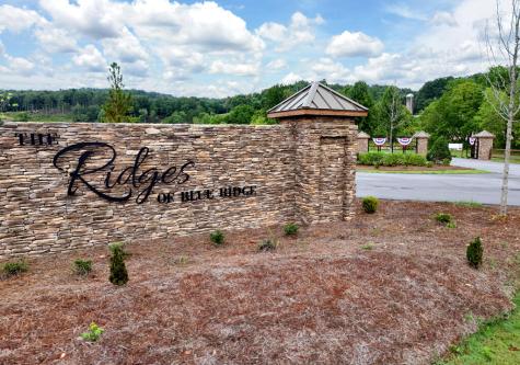 1008 Ridge Drive Morganton GA 30560