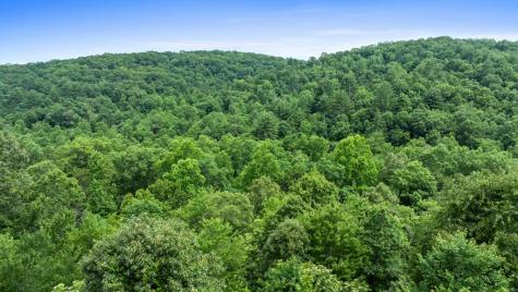 98 Shalom Lane Blue Ridge GA 30513