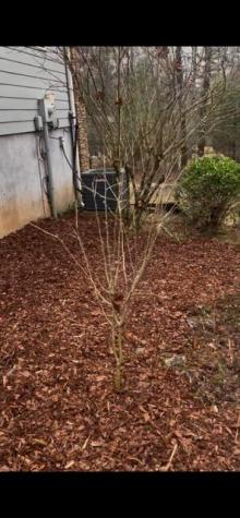 2279 Hy Top Road Young Harris GA 30582