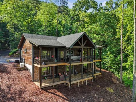240 Pink Pig Lane Cherry Log GA 30522