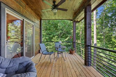 240 Pink Pig Lane Cherry Log GA 30522