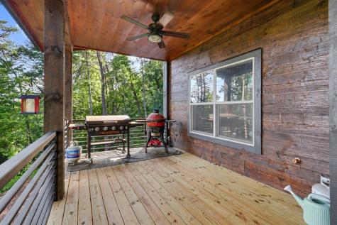 240 Pink Pig Lane Cherry Log GA 30522