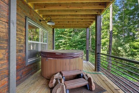 240 Pink Pig Lane Cherry Log GA 30522