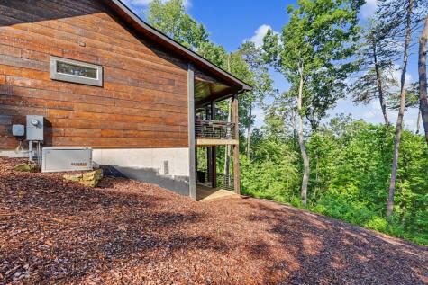 240 Pink Pig Lane Cherry Log GA 30522