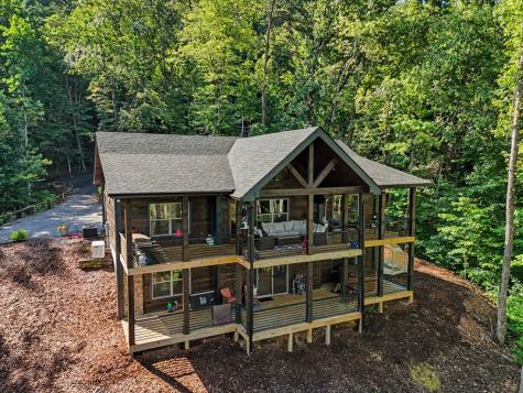 240 Pink Pig Lane Cherry Log GA 30522