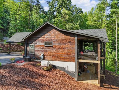 240 Pink Pig Lane Cherry Log GA 30522