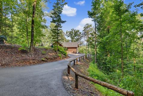240 Pink Pig Lane Cherry Log GA 30522