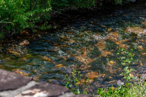 1250 Owen Glen Drive Blairsville GA 30512