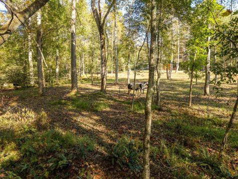 1099 Lickskillet Circle Epworth GA 30541