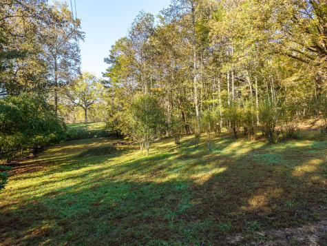 1099 Lickskillet Circle Epworth GA 30541