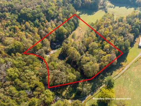 1099 Lickskillet Circle Epworth GA 30541