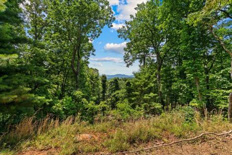 1008 Turkey Trot Blairsville GA 30512