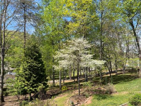 53 Windjammer Court Hiawassee GA 30546