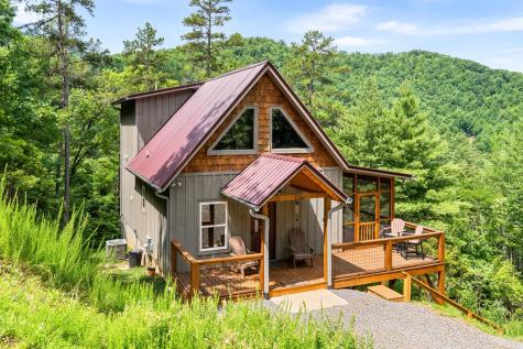 313 Lexington Drive Brasstown NC 28902