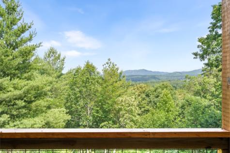 313 Lexington Drive Brasstown NC 28902