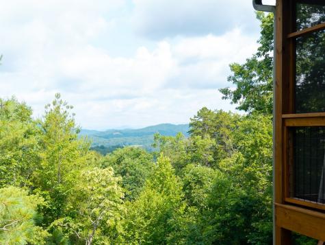 313 Lexington Drive Brasstown NC 28902