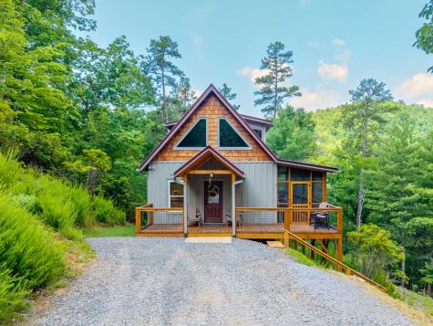 313 Lexington Drive Brasstown NC 28902