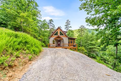 313 Lexington Drive Brasstown NC 28902