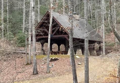 313 Lexington Drive Brasstown NC 28902