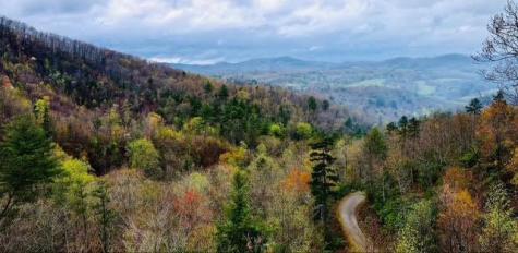 313 Lexington Drive Brasstown NC 28902