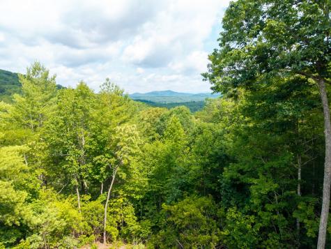 313 Lexington Drive Brasstown NC 28902