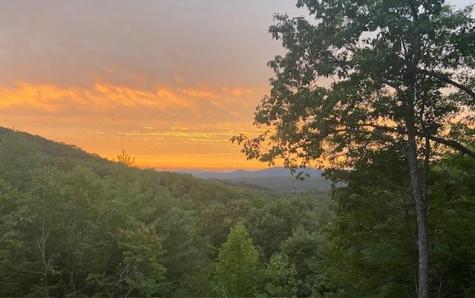 313 Lexington Drive Brasstown NC 28902