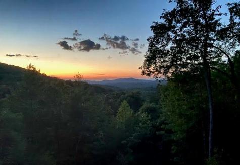 313 Lexington Drive Brasstown NC 28902