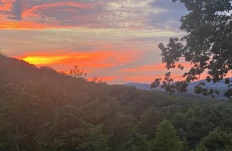 313 Lexington Drive Brasstown NC 28902