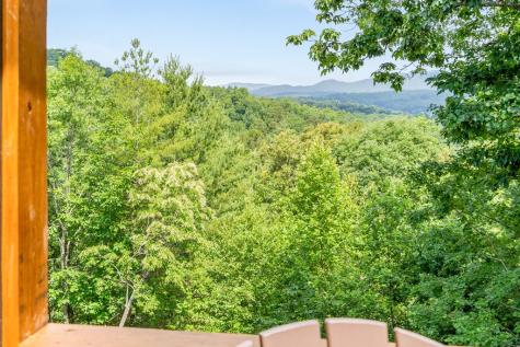 313 Lexington Drive Brasstown NC 28902