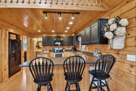 54 Channing Hollow Morganton GA 30560