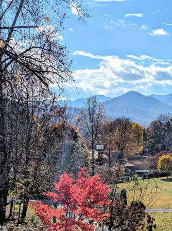 352 South Meadows Drive Hiawassee GA 30546