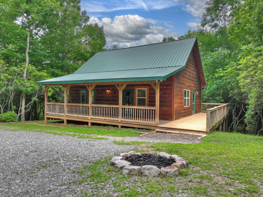 295 Ross Drive Mineral Bluff GA 30559