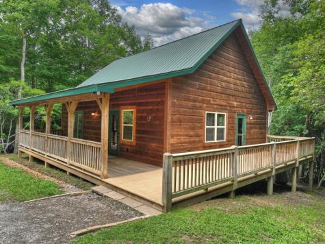 295 Ross Drive Mineral Bluff GA 30559