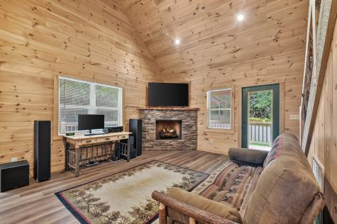 295 Ross Drive Mineral Bluff GA 30559