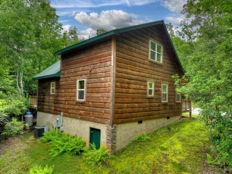 295 Ross Drive Mineral Bluff GA 30559