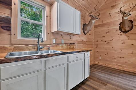 295 Ross Drive Mineral Bluff GA 30559