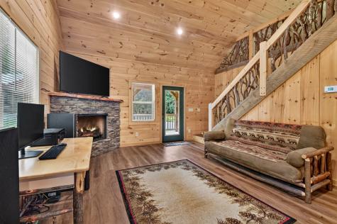 295 Ross Drive Mineral Bluff GA 30559