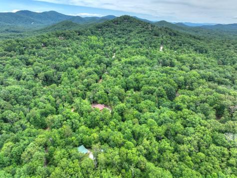 295 Ross Drive Mineral Bluff GA 30559