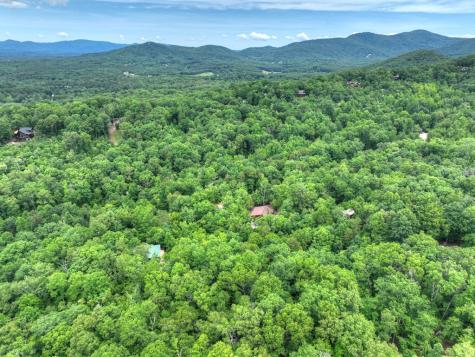 295 Ross Drive Mineral Bluff GA 30559